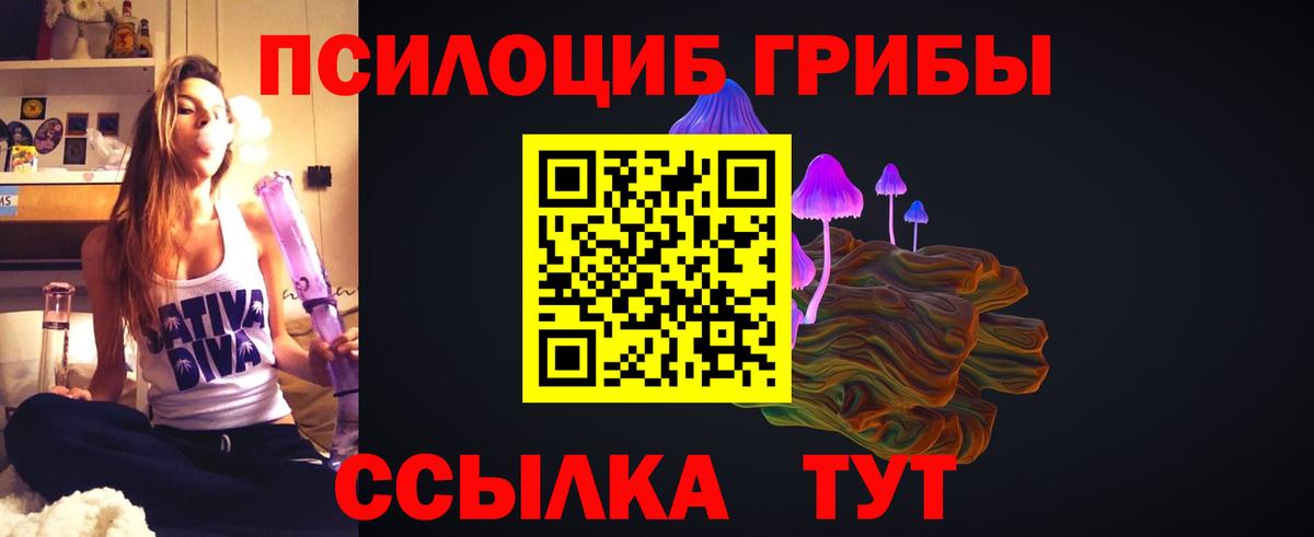 Псилоцибиновые грибы Psilocybe  Вход с VPN  Благодарный 